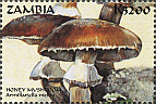 Briefmarke