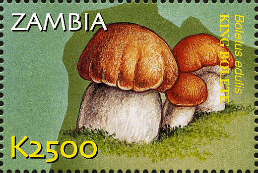Briefmarke