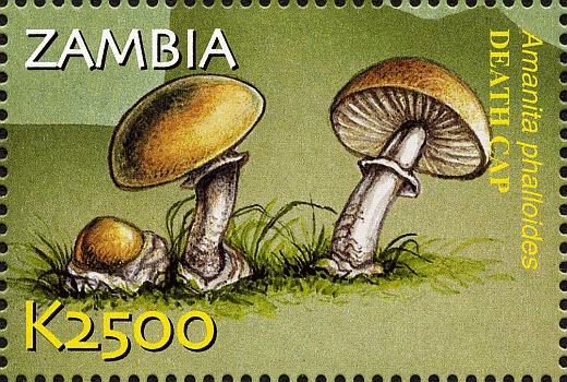 Briefmarke