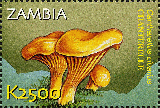 Briefmarke