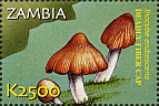 Briefmarke