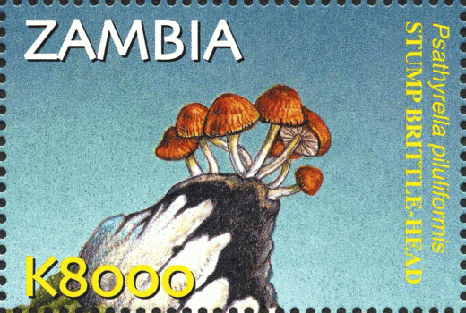 Briefmarke