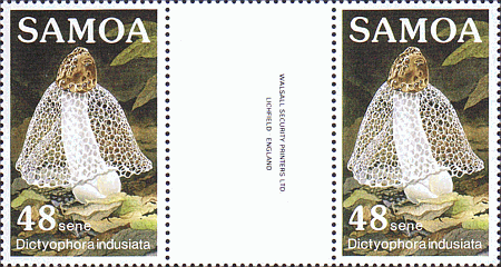 Zusammendruck