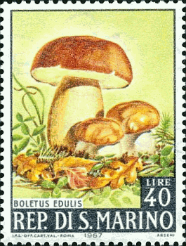 Briefmarke