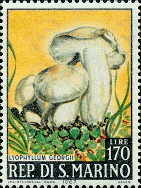 Briefmarke