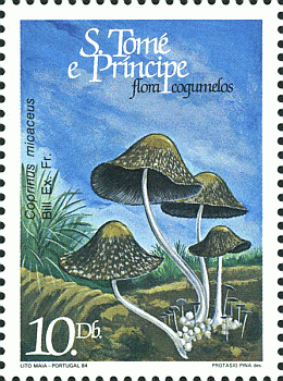Briefmarke