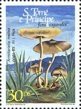 Briefmarke