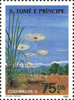 Briefmarke