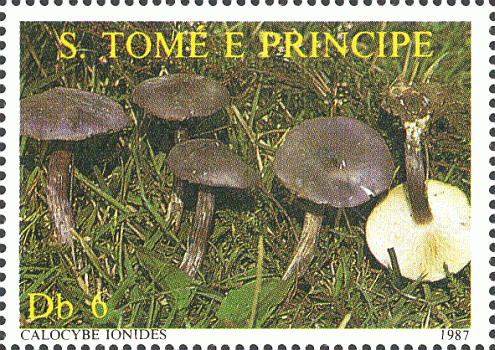 Briefmarke