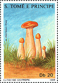 Briefmarke