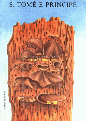 Block