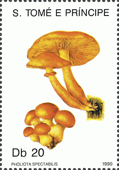 Briefmarke