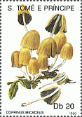 Briefmarke