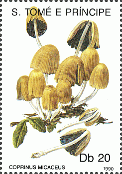Briefmarke