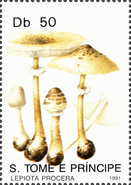 Briefmarke