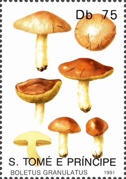 Briefmarke