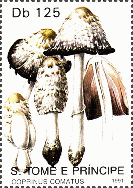 Briefmarke