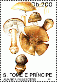 Briefmarke