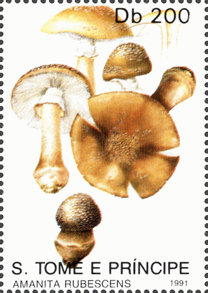 Briefmarke
