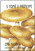 Briefmarke