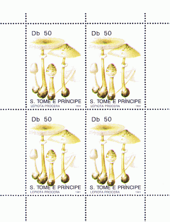 Kleinbogen