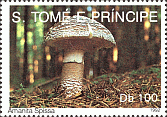 Briefmarke