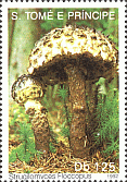 Briefmarke