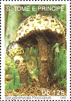 Briefmarke