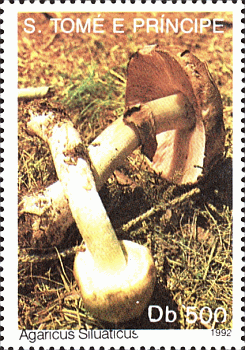 Briefmarke