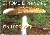 Briefmarke