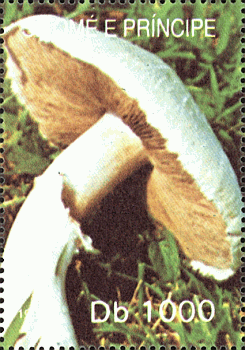 Briefmarke