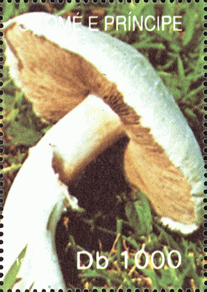 Briefmarke