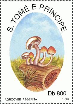Briefmarke