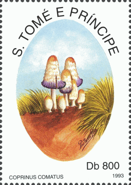 Briefmarke