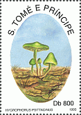 Briefmarke