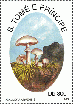 Briefmarke