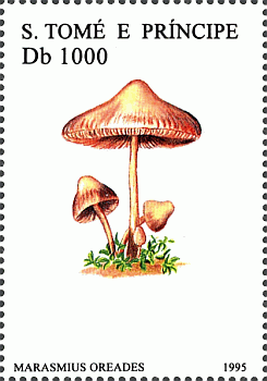Briefmarke