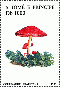 Briefmarke