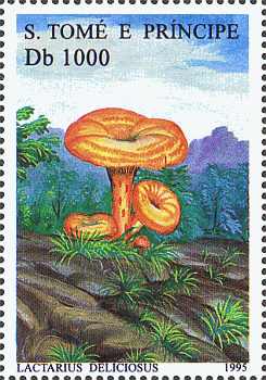 Briefmarke