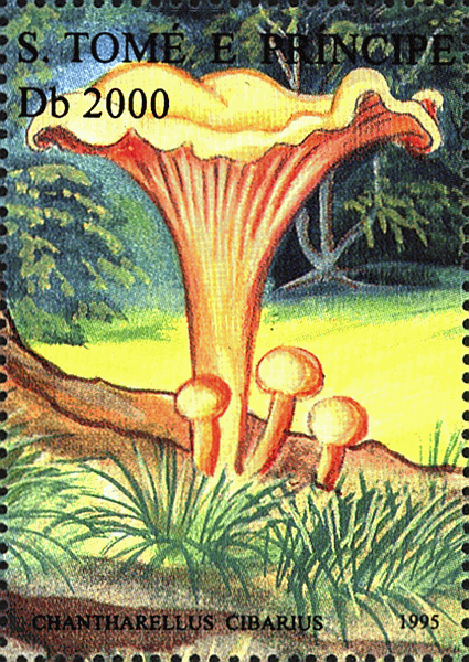 Briefmarke