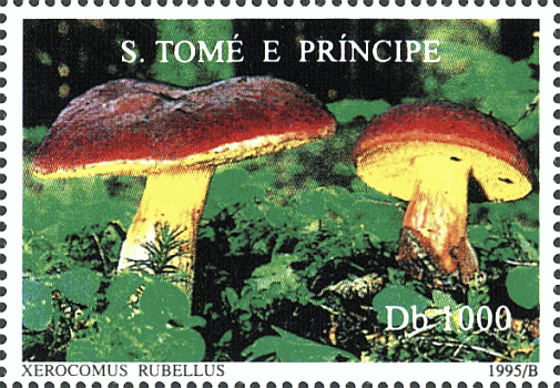 Briefmarke
