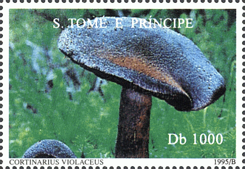 Briefmarke