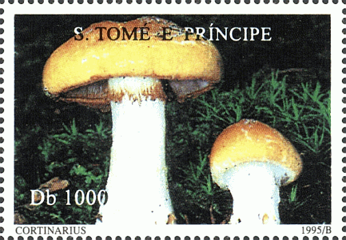 Briefmarke