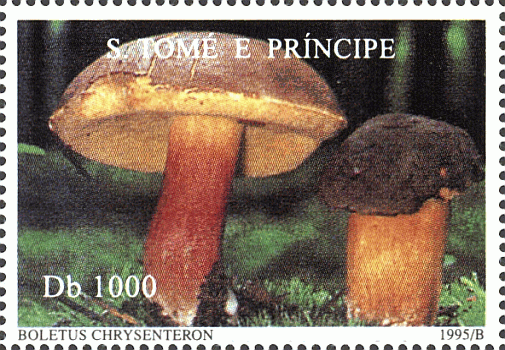 Briefmarke