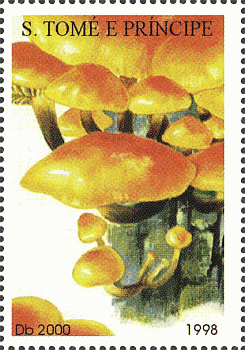 Briefmarke