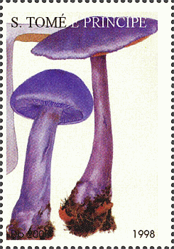 Briefmarke