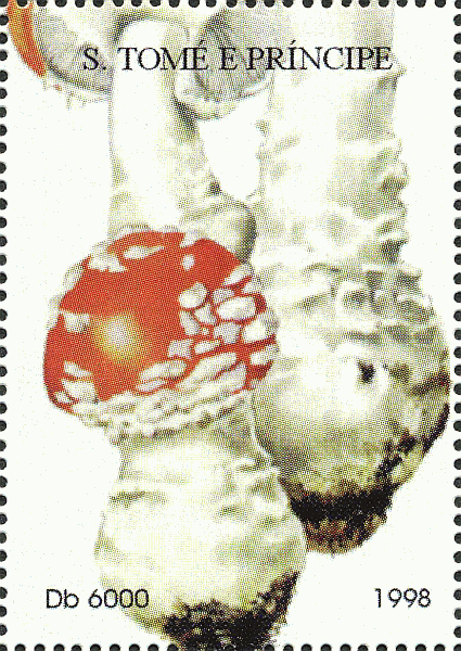 Briefmarke