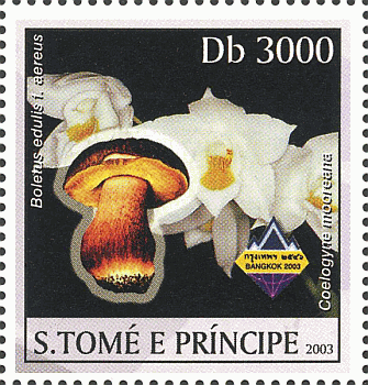 Briefmarke