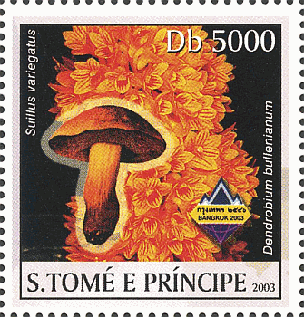 Briefmarke