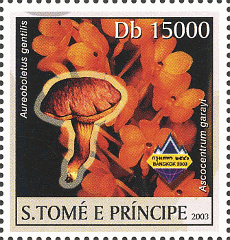 Briefmarke